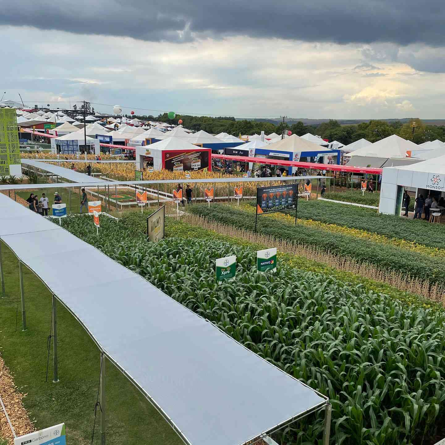 Vitrines de cultivares e corredor de tendas de expositores no Show Rural Coopavel em Cascavel